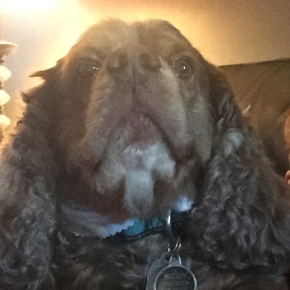 Meet your Posher, Stacey